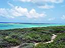 Panorama from Nancy and Walker's secret beach on Anegada