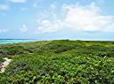 Panorama from Nancy and Walker's secret beach on Anegada