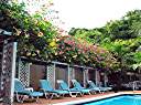 Allamanda at the Tamarind Club