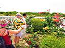 Shirley gives us a tour of the Anegada Botanical Garden