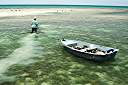 Wendell Creque with a dinghy load of conch.