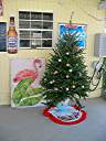 Cow Wreck Christmas tree.