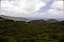 Tortola.