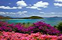 The view from the Pugliese's veranda. What a mix of color!