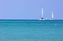 More playing with telephoto lens. View from the Anegada Reef Hotel. More playing with telephoto lens. The channel marker buoys at the channel entrance are visible here -- a mile from where I am taking this photo.