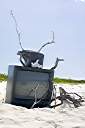 Television, Anegada style.
Nancy found this television on the beach on Anegada's north shore. We dressed it up a bit, making the "rabbit ear" antenna from an oil bottle, some sand and sticks. A nice little coral nick-nack on top, and we are ready to watch television. It turns out that our reflection is the only thing that we can receive on it.