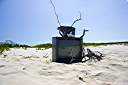 Television, Anegada style.
Nancy found this television on the beach on Anegada's north shore. We dressed it up a bit, making the "rabbit ear" antenna from an oil bottle, some sand and sticks. A nice little coral nick-nack on top, and we are ready to watch television. It turns out that our reflection is the only thing that we can receive on it.