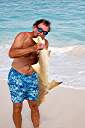 Larger Shark!