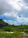 Anegada green cloud.