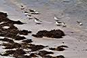 Morning beach walk