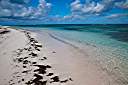 Morning beach walk