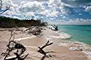 Morning beach walk