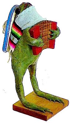Accordian Player