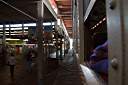 Stockyards Station