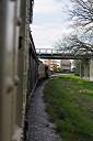 Afternnon train ride