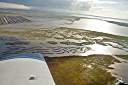 Circling the marsh.