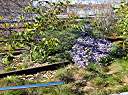 High Line Park