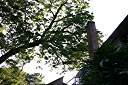 040713-184038.jpg