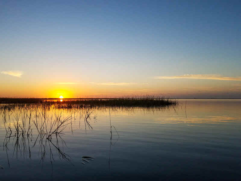 Morning in the marsh