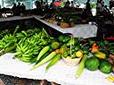 BVI Agricultural Exposition at H. Lavity Stoutt Community College, Tortola.