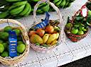 Winning entries at BVI Agricultural Exposition.