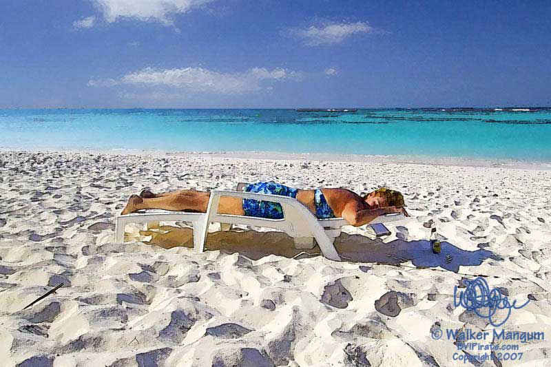 Another Crappy Day in Paradise