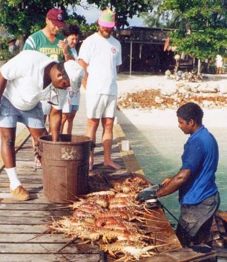 Lowell selecting lobster for dinner, 1990