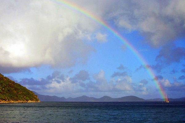 JVD Rainbow