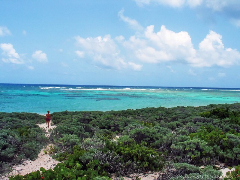 Panorama from Nancy and Walker's secret beach on Anegada