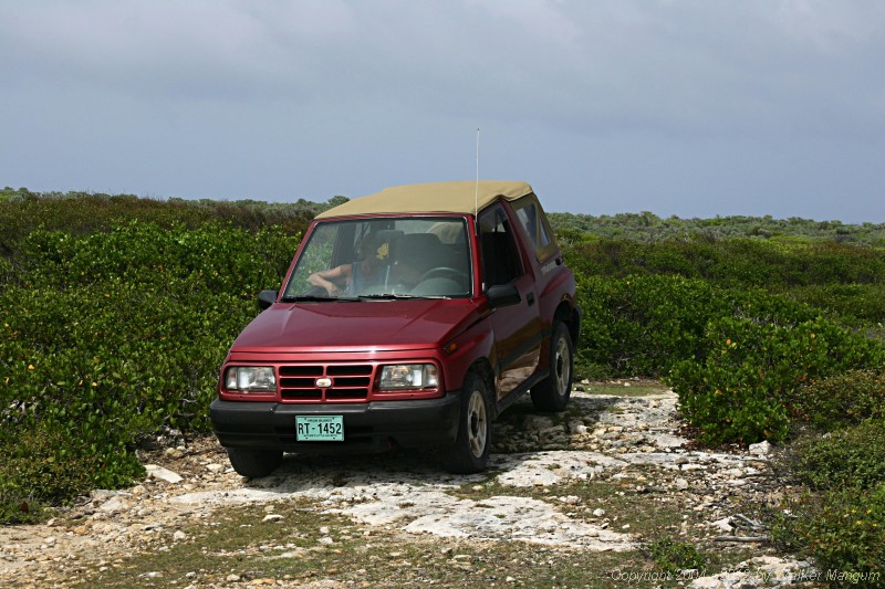 One of Anegada's roads. Sand over limestone and coral.