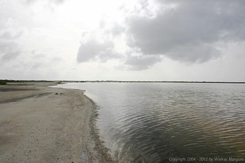 Panorama of Anegada flamingo pond. There are no flamingoes on the pond today -- they are all nesting in the east end pond.