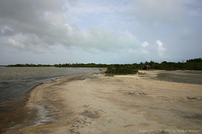 Panorama of Anegada flamingo pond. There are no flamingoes on the pond today -- they are all nesting in the east end pond.