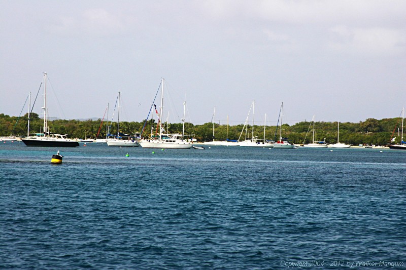 New buoyed entrance into Trellis Bay.