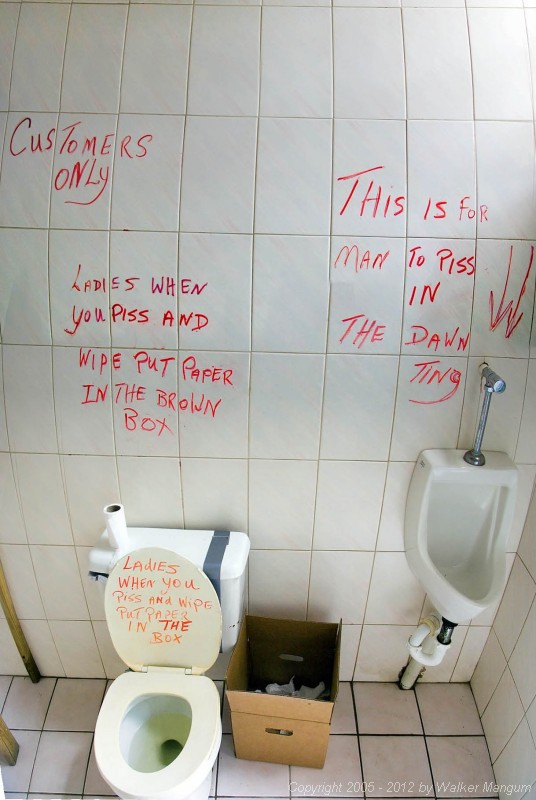 Inside the toilet at Nicole's. Any questions?