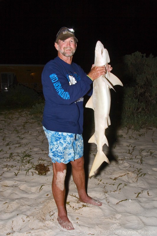 Nancy's 4-foot lemon shark that she would not touch because it was not dead yet.