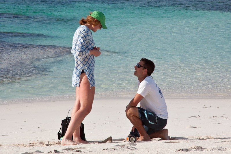 The proposal.