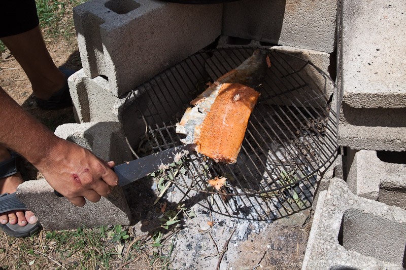 Salmon coming off the grill