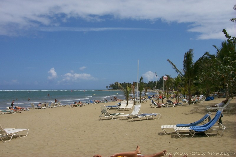 P0000590.JPG