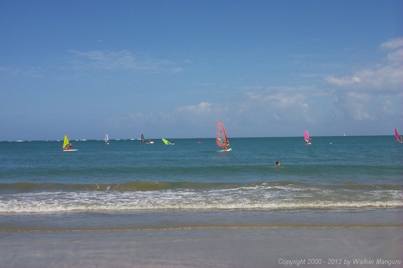P0000594.JPG
