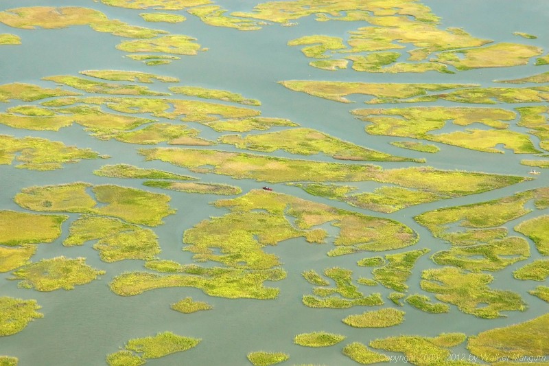 TKF fishermen in kayaks in the marsh.