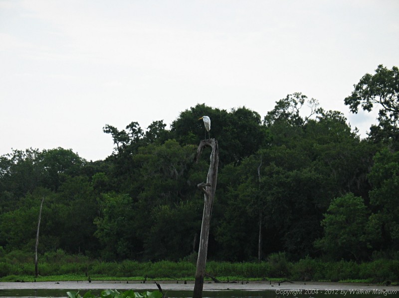 040718-094803.jpg