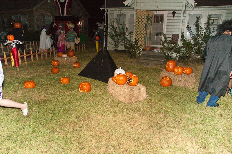 Pumpkins in the front yard.