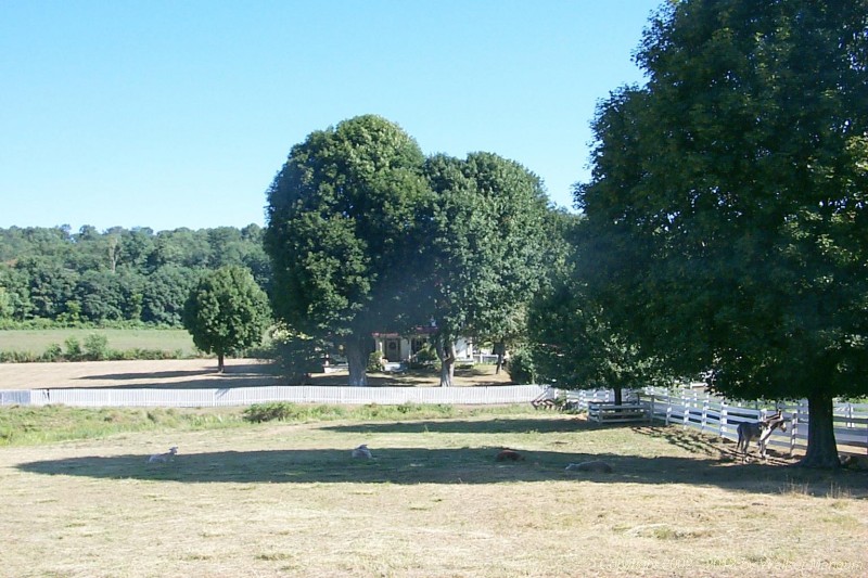 P0003816.JPG