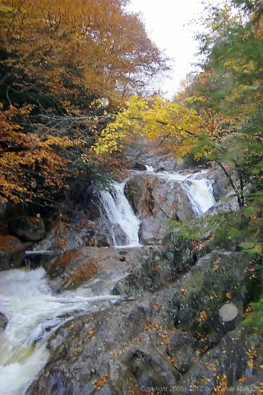 P0002181.JPG