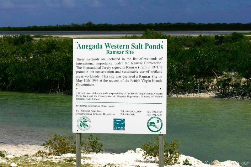 Anegada Western Salt Ponds.