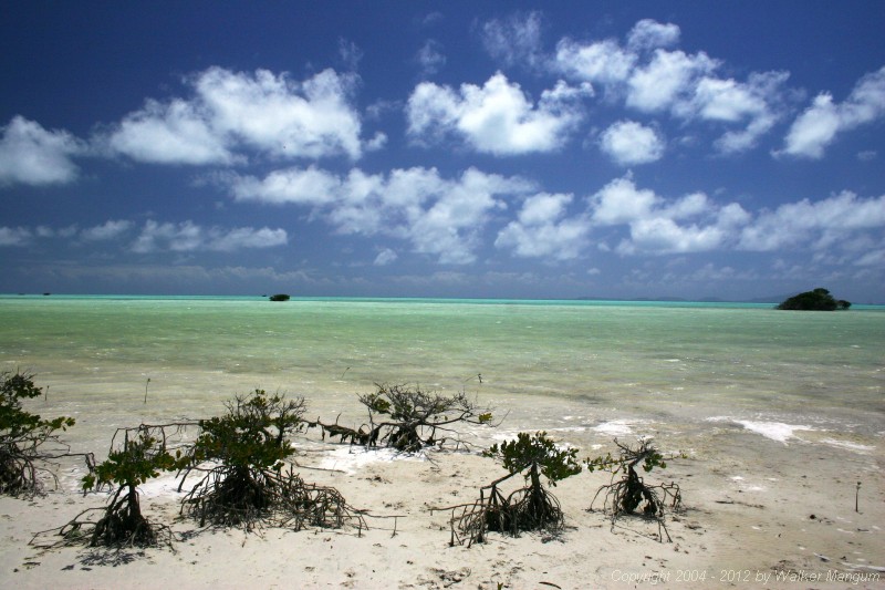 View from Nutmeg Point, Anegada.
