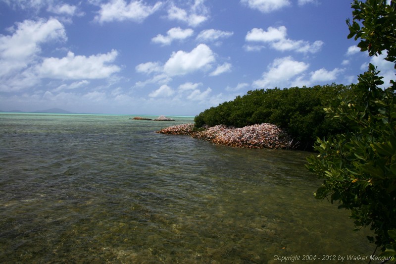 View from the Marina at the Anegada Settlement. Conch shell mounds are hundreds of years old.