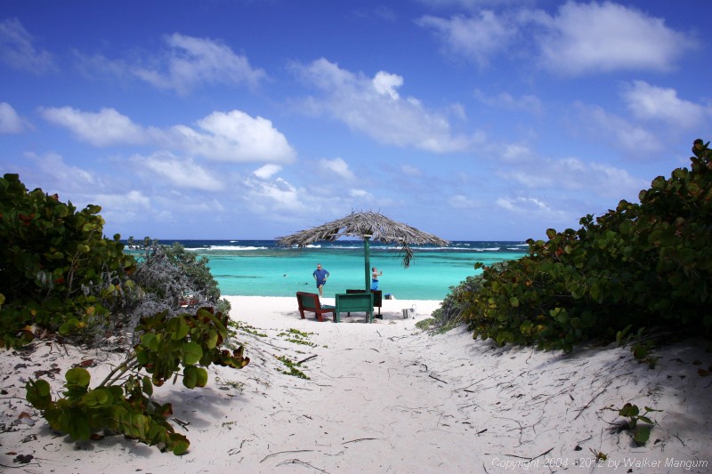 View of beach from The Big Bamboo, Loblolly Bay, Anegada.