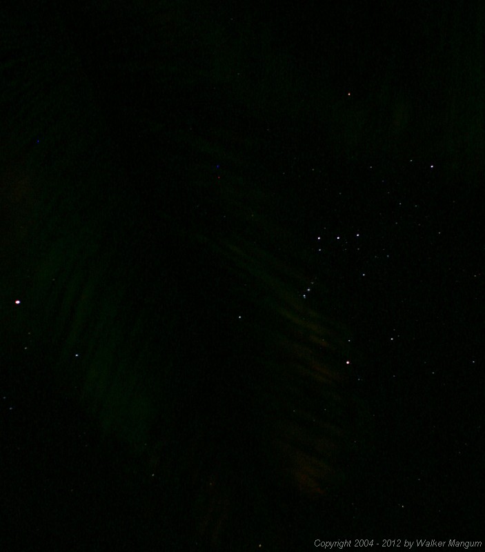 Orion from under the palm trees at the Anegada Reef Hotel. Green palm tree leaves are barely visible.