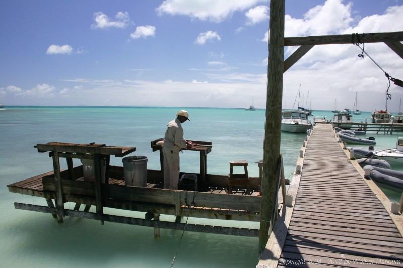 Kevin Faulkner cleaning fish on the dock at the Anegada Reef Hotel.